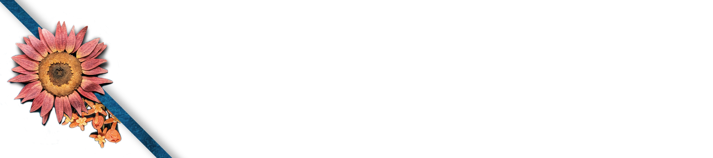 Kelsey and Erik