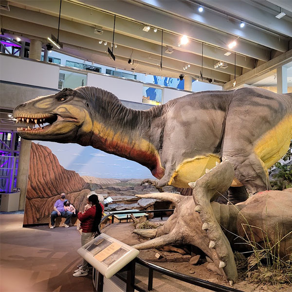 STL Science Center